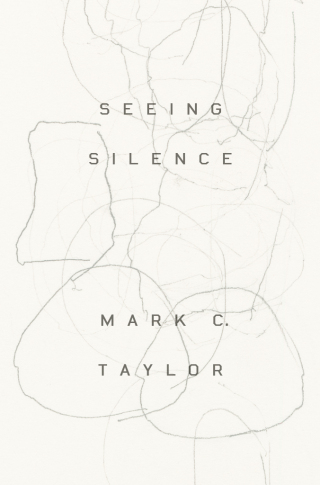 Seeing Silence