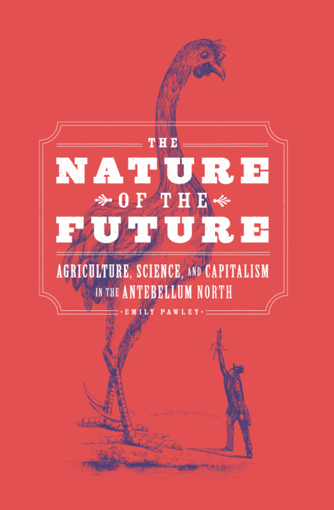 Cover image for book The Nature of the Future