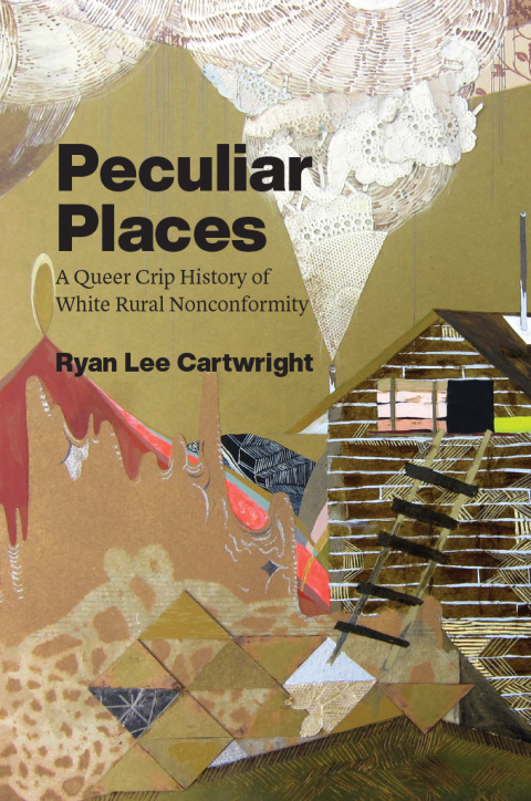Cover image for book Peculiar Places