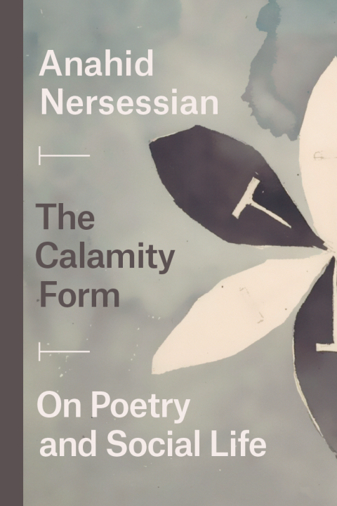 Cover image for book The Calamity Form