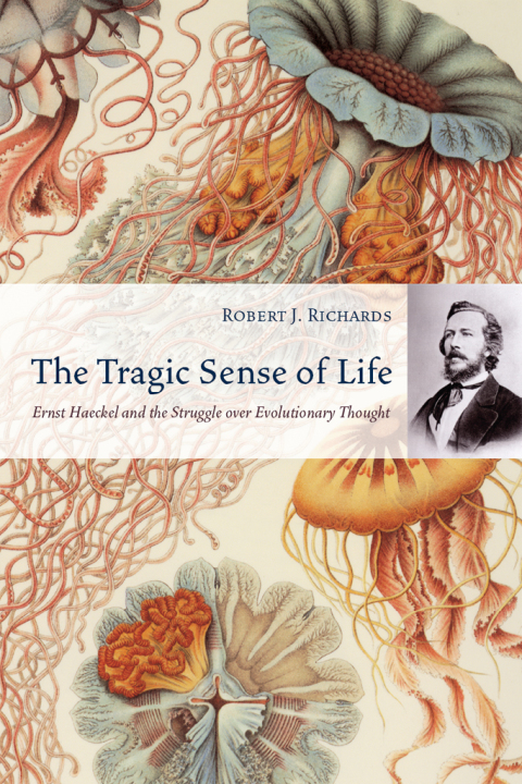 Cover image for book The Tragic Sense of Life