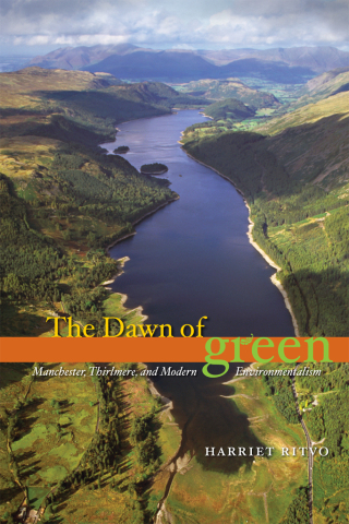The Dawn of Green