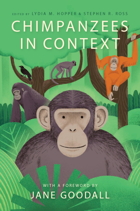 Cover image for book Chimpanzees in Context