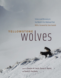 Cover image: Yellowstone Wolves 9780226728346