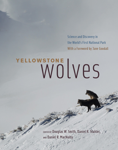 Cover image for book Yellowstone Wolves