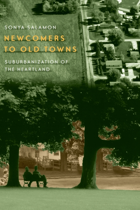 Cover image for book Newcomers to Old Towns