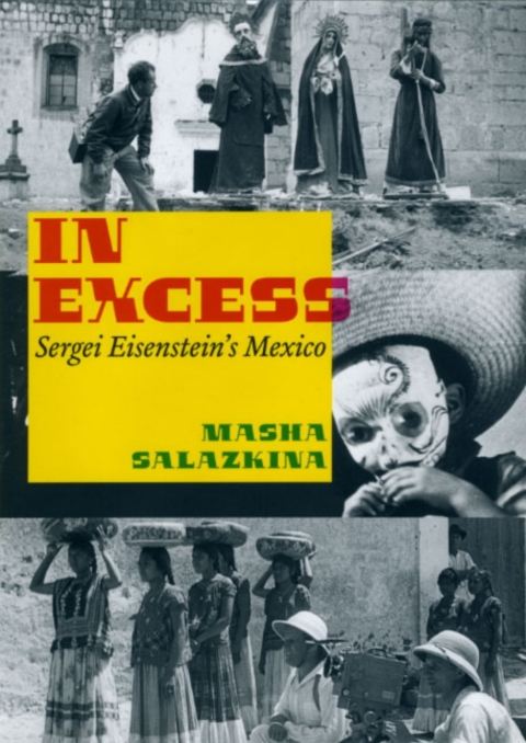 Cover image for book In Excess