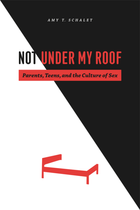 Cover image for book Not Under My Roof