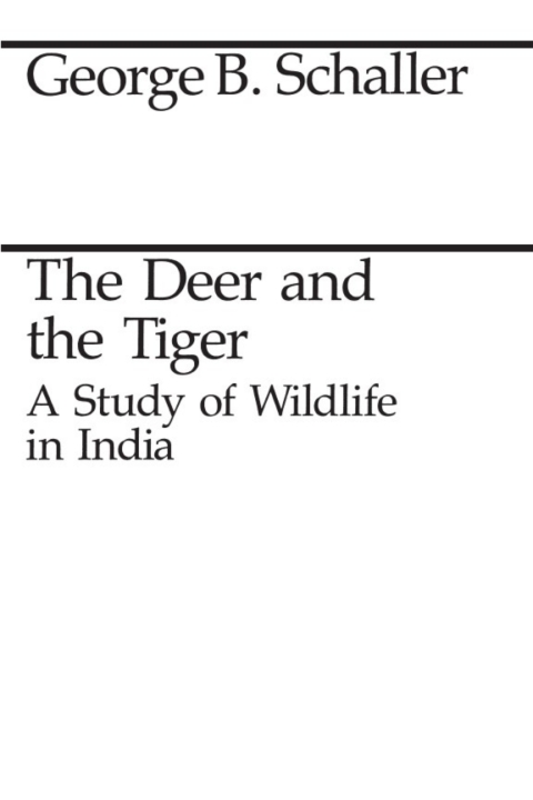 Cover image for book The Deer and the Tiger