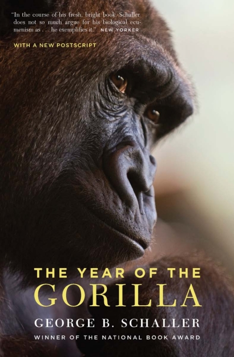 Cover image for book The Year of the Gorilla