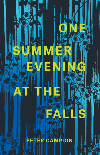One Summer Evening at the Falls