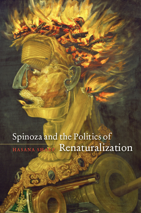 Cover image for book Spinoza and the Politics of Renaturalization