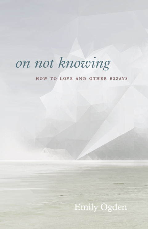 Cover image for book On Not Knowing