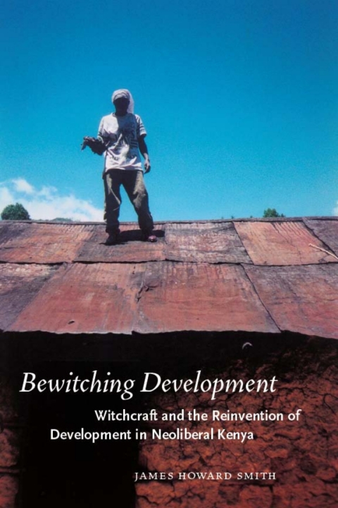 Cover image for book Bewitching Development