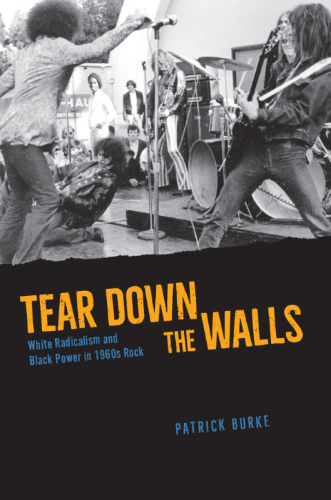 Cover image for book Tear Down the Walls