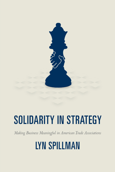 Cover image for book Solidarity in Strategy