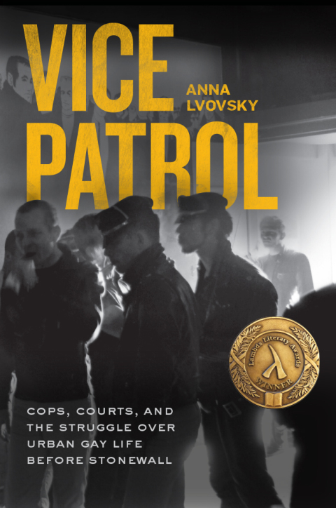 Cover image for book Vice Patrol