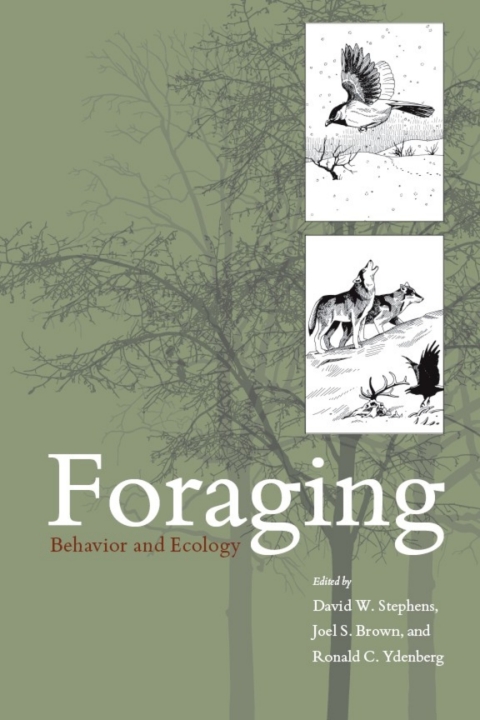 Foraging 