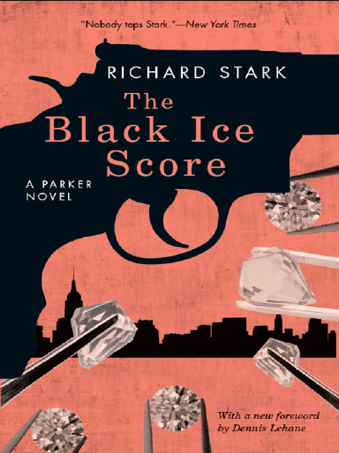 Cover image for book The Black Ice Score