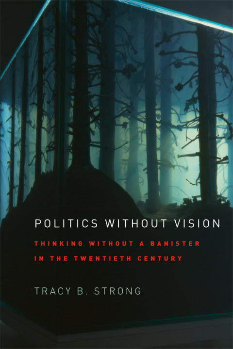 Politics without Vision 