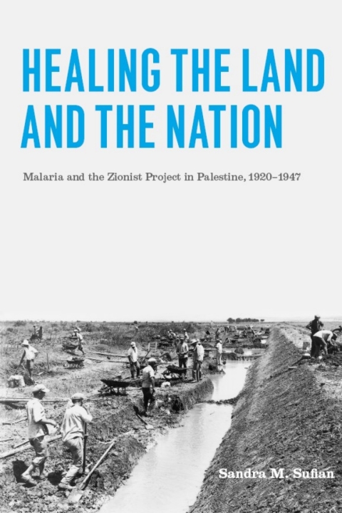 Cover image for book Healing the Land and the Nation