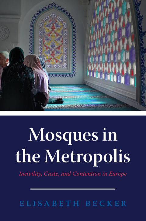Cover image for book Mosques in the Metropolis