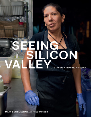 Seeing Silicon Valley