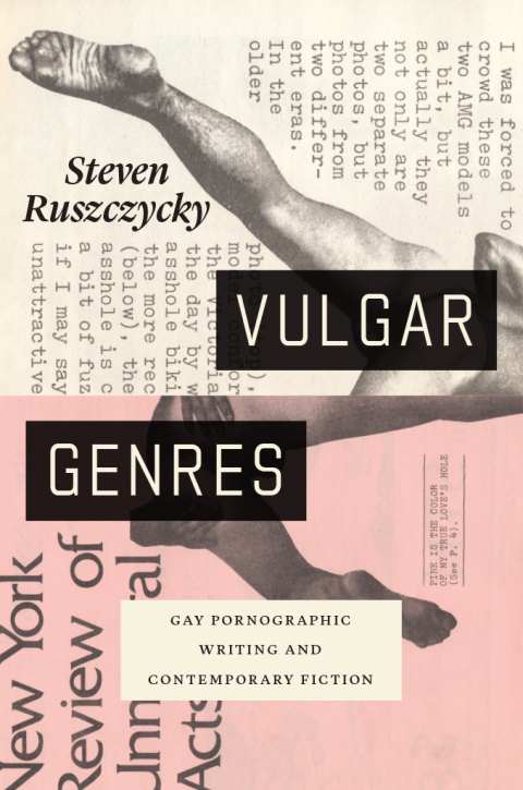 Cover image for book Vulgar Genres