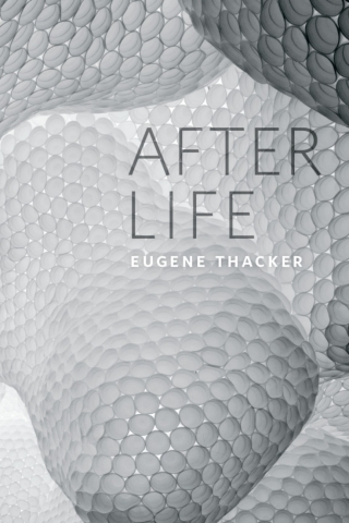 After Life