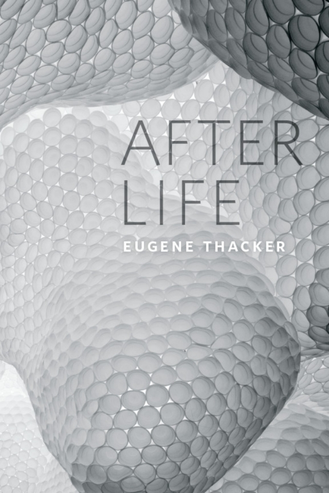 After Life