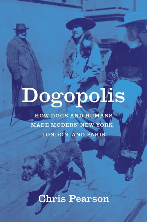 Cover image for book Dogopolis