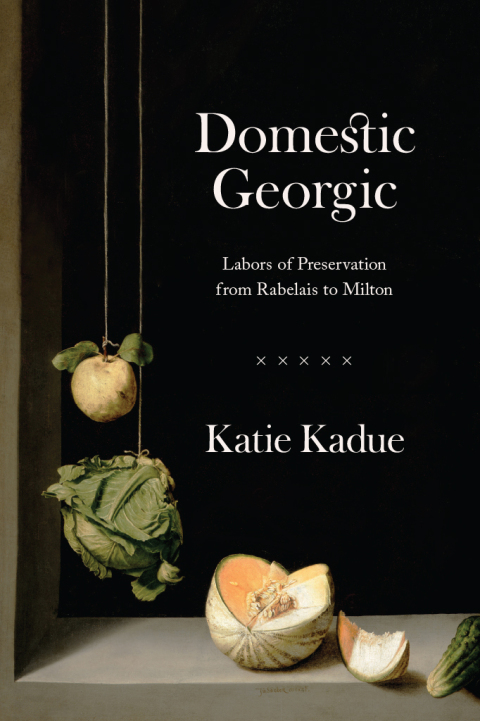Cover image for book Domestic Georgic