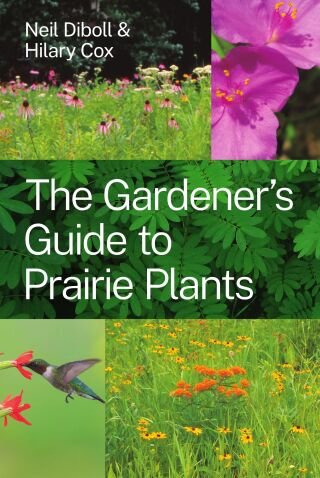 The Gardener's Guide to Prairie Plants