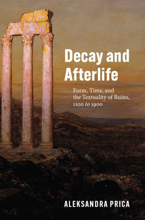 Cover image for book Decay and Afterlife