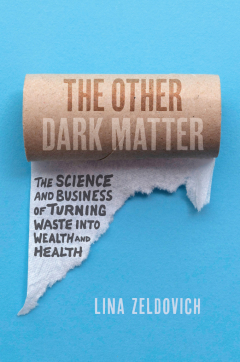 Cover image for book The Other Dark Matter