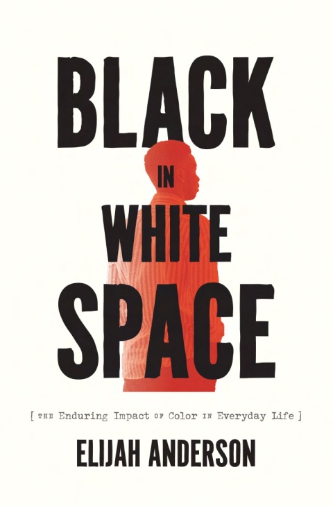 Cover image for book Black in White Space