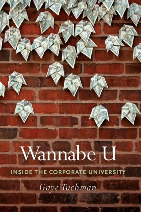 Cover image for book Wannabe U