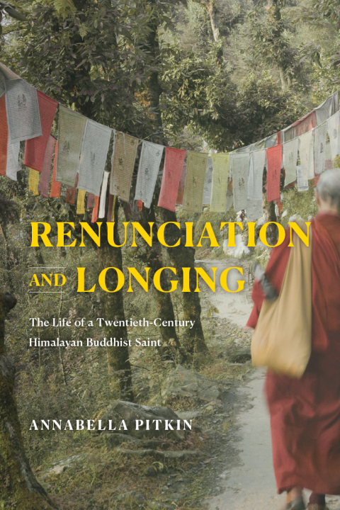 Cover image for book Renunciation and Longing