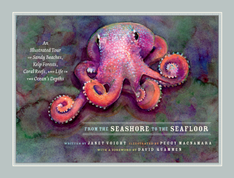 Cover image for book From the Seashore to the Seafloor