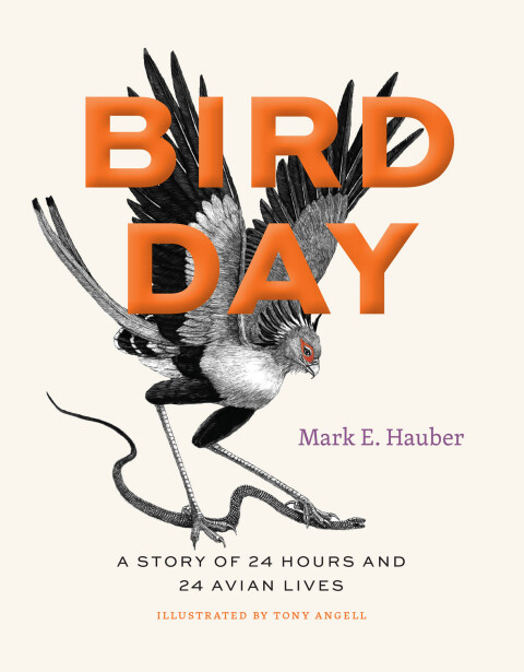 Cover image for book Bird Day