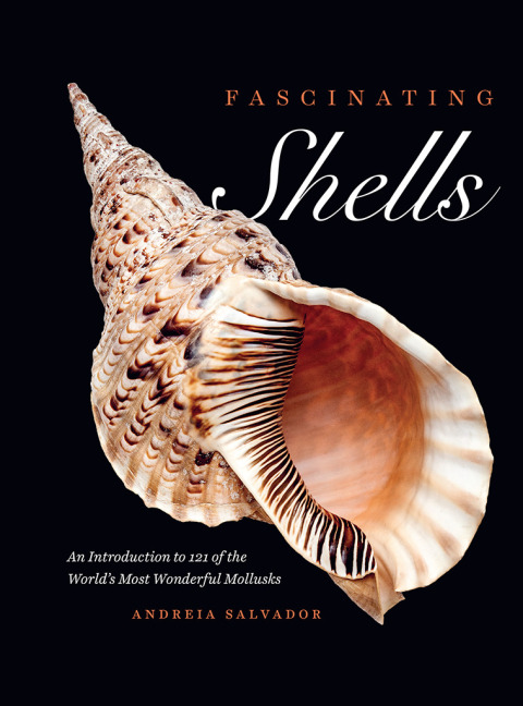 Cover image for book Fascinating Shells