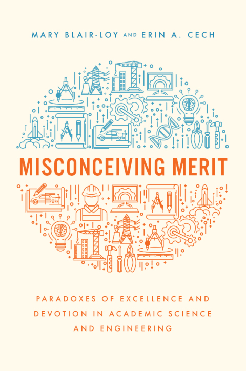 Cover image for book Misconceiving Merit