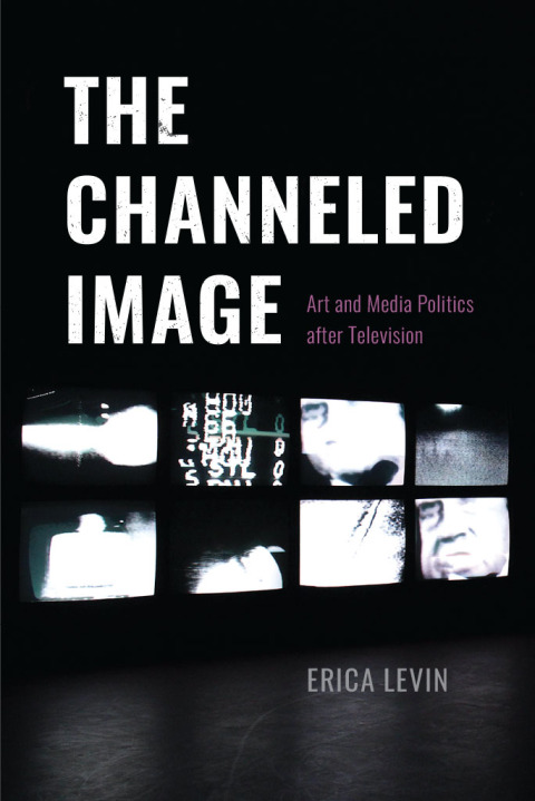 Cover image for book The Channeled Image