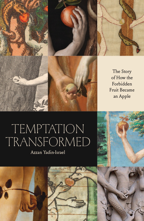 Cover image for book Temptation Transformed