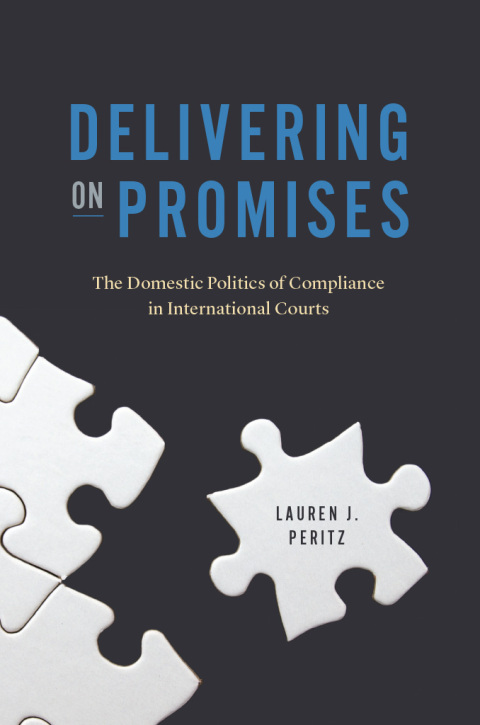 Cover image for book Delivering on Promises