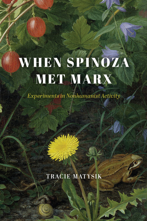 Cover image for book When Spinoza Met Marx