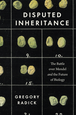 Disputed Inheritance