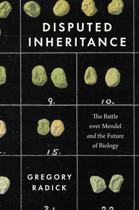 Cover image for book Disputed Inheritance