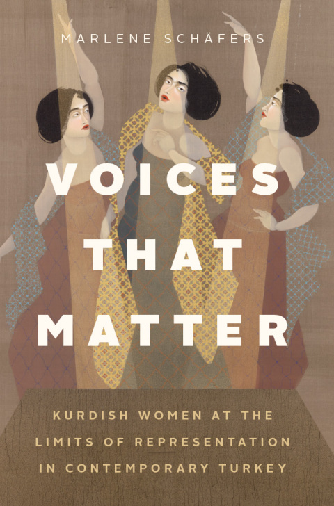 Cover image for book Voices That Matter