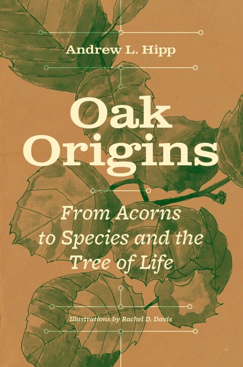 Cover image for book Oak Origins